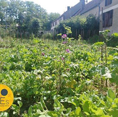 Visitez un jardin sans pétrole et une maison en auto-production