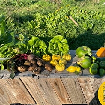 Jardin partagé des Incroyables Comestibles - VESOUL